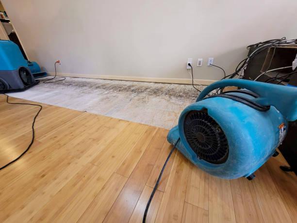 Professional Water Damage Repair technician working in Sulphur Springs, AR